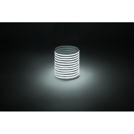 Купить оптом недорого Лента светодиодная ЭРА LRCOB-352-8 12W/m 8mm 24V 6500K 3year белая 5 м