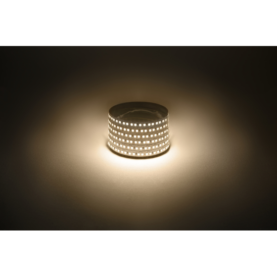 Купить оптом недорого Светодиодная лента ЭРА LS2835 -14