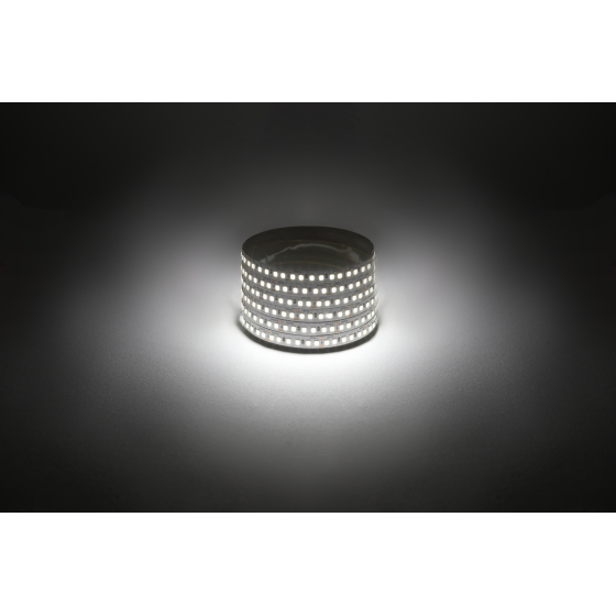 Купить оптом недорого Светодиодная лента ЭРА LS2835 -14