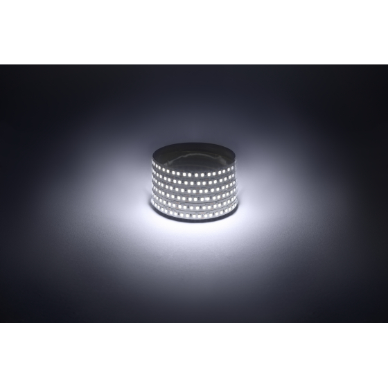 Купить оптом недорого Светодиодная лента ЭРА LS2835 -14