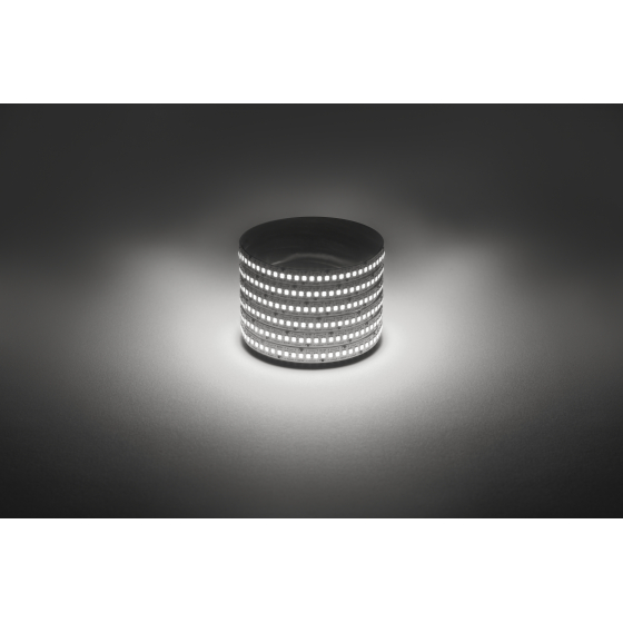 Купить оптом недорого Светодиодная лента ЭРА LS2835 -19