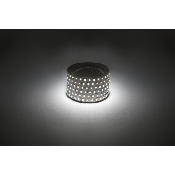 Купить оптом недорого Светодиодная лента ЭРА LS2835 -9