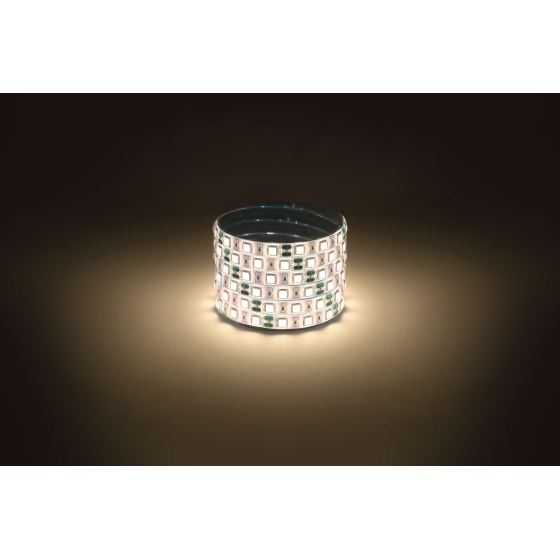 Купить оптом недорого Светодиодная лента ЭРА LS5050 -14