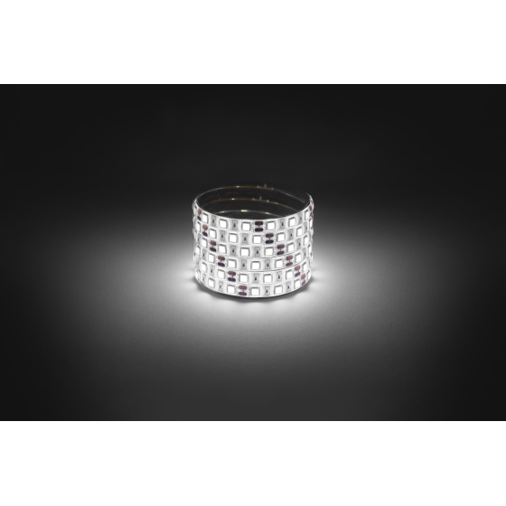 Купить оптом недорого Светодиодная лента ЭРА LS5050 -14