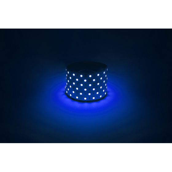 Купить оптом недорого Светодиодная лента ЭРА LS5050 -14