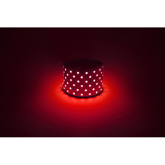 Купить оптом недорого Светодиодная лента ЭРА LS5050 -14