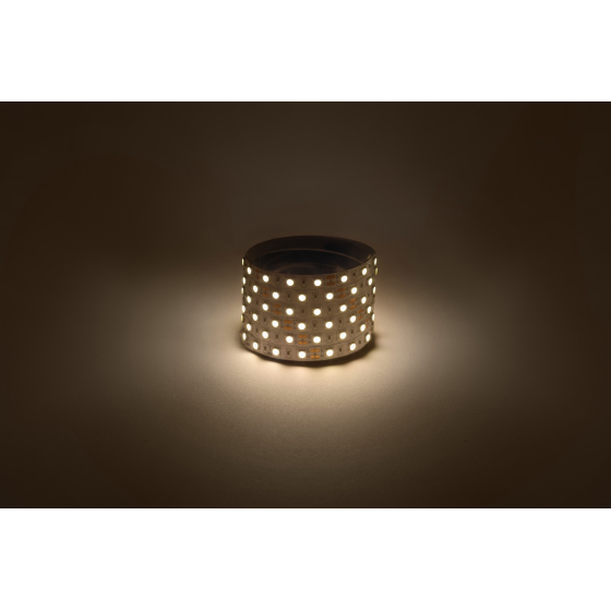 Купить оптом недорого ЭРА Лента светодиодная LS5050-14