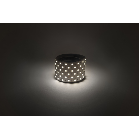 Купить оптом недорого ЭРА Лента светодиодная LS5050-14