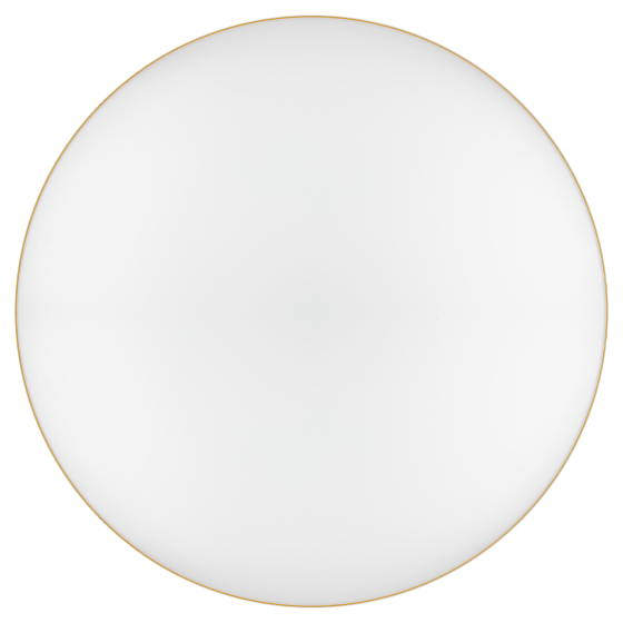 Купить оптом недорого Светильник потолочный светодиодный ЭРА Relict 48 Pult SPB-6-60-RC MG с ДУ 60Вт 3000-6500К Золото