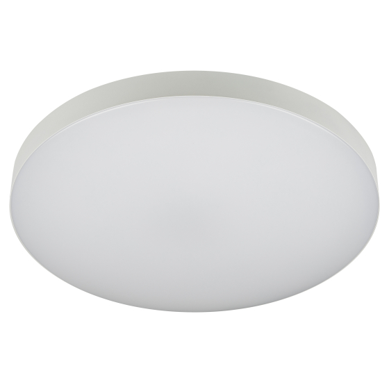 Купить оптом недорого Светильник потолочный светодиодный ЭРА Relict 48 SPB-6-60 4К WH 60W 4000K Белый