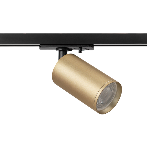 Купить оптом недорого Трековый светильник однофазный ЭРА TR39-GU10 MG под лампу MR16 золото