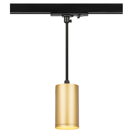 Купить оптом недорого Трековый светильник однофазный ЭРА TR45 - GU10 S MG подвесной 52*100 мм под лампу MR16 золото