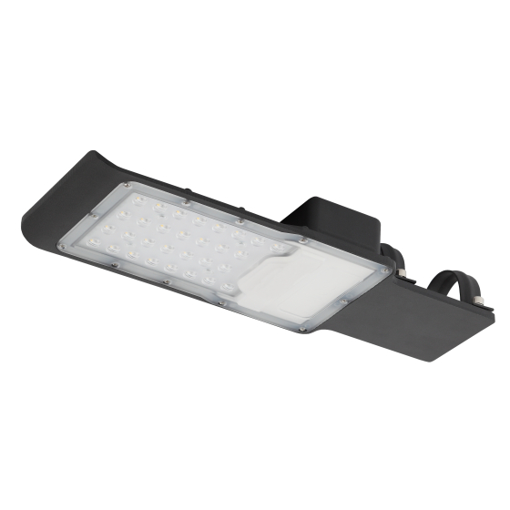 Купить оптом недорого Уличный светильник ЭРА SPP-503-0-50K-030 30Вт 5000К 3000Лм IP65 КСС Ш-с DOB-SMD 48мм пульсации