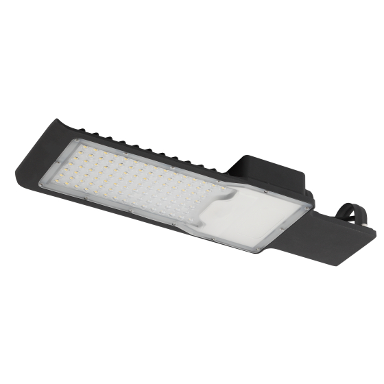 Купить оптом недорого Уличный светильник ЭРА SPP-503-0-50K-080 80Вт 5000К 8000Лм IP65 КСС Ш 48мм