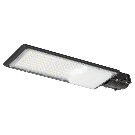 Купить оптом недорого Уличный светильник ЭРА SPP-503-0-50K-100 100Вт 5000К 10000Лм IP65 КСС Ш 48мм