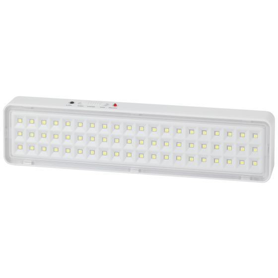 Купить оптом недорого Аварийный светильник светодиодный ЭРА DBA-103-0-20 непостоянный 60LED 5ч IP20