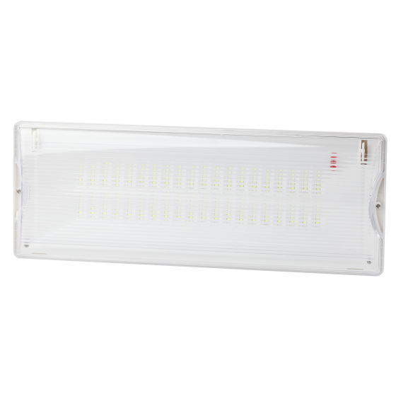 Купить оптом недорого Аварийный светильник светодиодный ЭРА DPA-301-0-65 непостоянный 40LED 3ч IP65