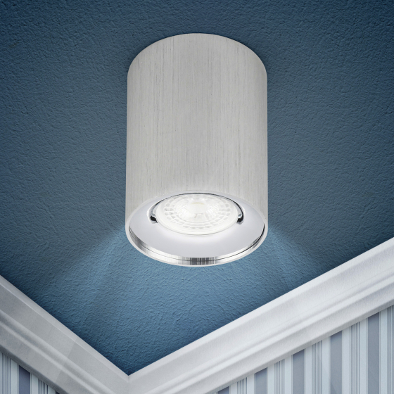 Купить оптом недорого Светильник настенно-потолочный спот ЭРА OL1 GU10 SL/CH под лампу MR16/GU10 серебро/хром IP20