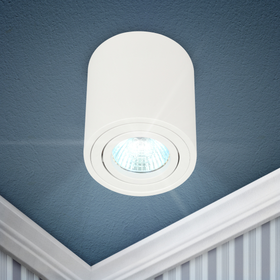 Купить оптом недорого Светильник настенно-потолочный спот ЭРА OL21 WH MR16/GU10