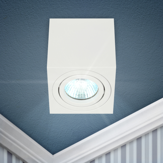 Купить оптом недорого Светильник настенно-потолочный спот ЭРА OL22 WH MR16/GU10