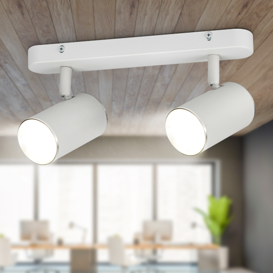 Купить оптом недорого Светильник настенно-потолочный спот ЭРА OL35-2 WH MR16 GU10 IP20 белый хром