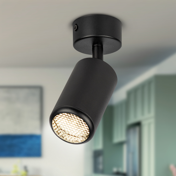 Купить оптом недорого Светильник настенно-потолочный спот ЭРА OL55 BK MR16 GU10 IP20 черный