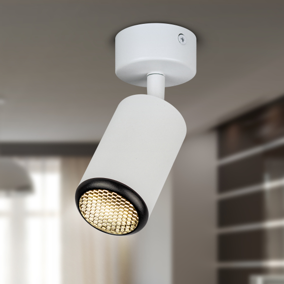 Купить оптом недорого Светильник настенно-потолочный спот ЭРА OL55 WH/BK MR16 GU10 IP20 белый/черный