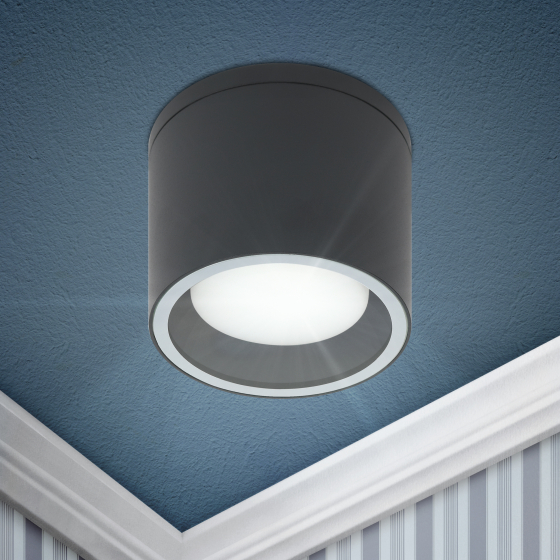 Купить оптом недорого Светильник настенно-потолочный спот ЭРА WL40 BK GX53