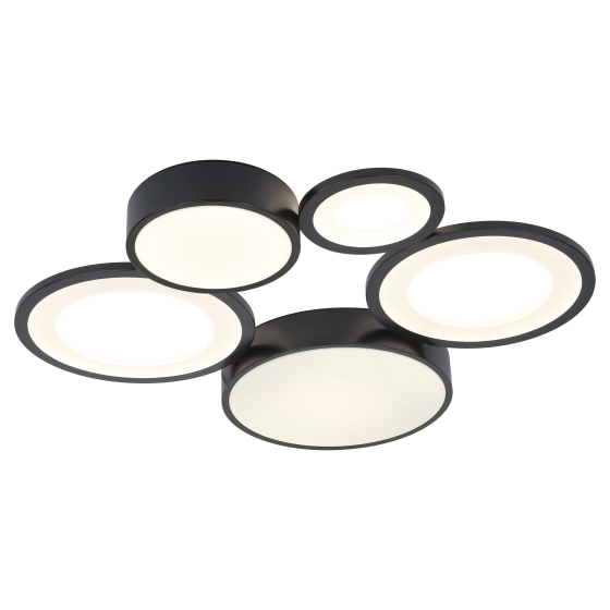 Купить оптом недорого Светильник потолочный светодиодный Rivoli Aliona 6161-201 LED 110 Вт 3000 - 6000 К с пультом