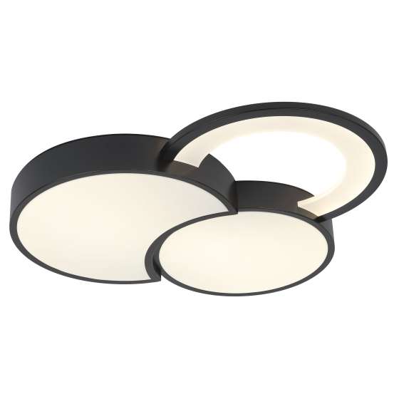 Купить оптом недорого Светильник потолочный светодиодный Rivoli Aliona 6161-702 LED 68 Вт 3000 - 6000 К с пультом