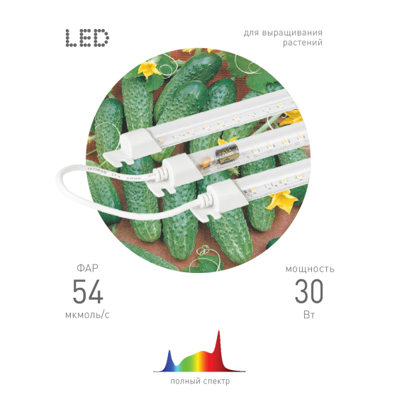 Купить оптом недорого Модульный светильник для растений ЭРА FITO-3х10W-LINE-Ra90 полного спектра 30 Вт