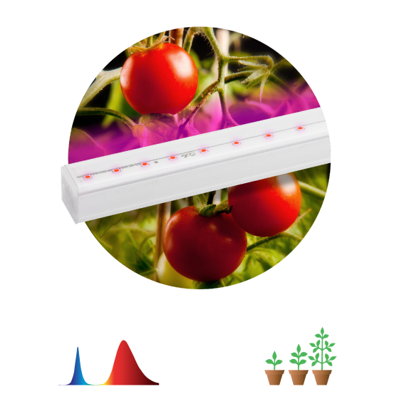 Купить оптом недорого Светильник для растений