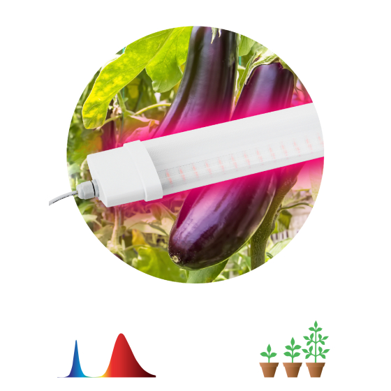 Купить оптом недорого Светильник для растений