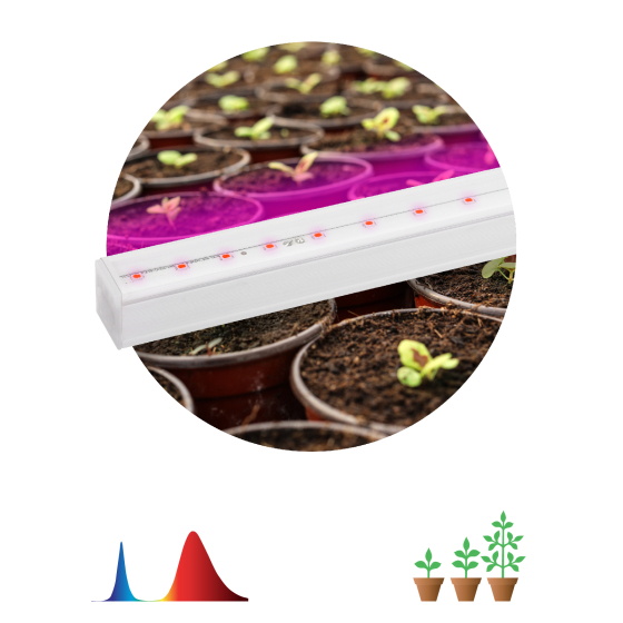 Купить оптом недорого Светильник для растений