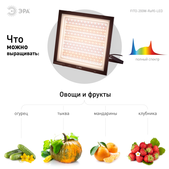 Купить оптом недорого Фитопрожектор для растений светодиодный ЭРА FITO-200W-Ra90-LED полного спектра