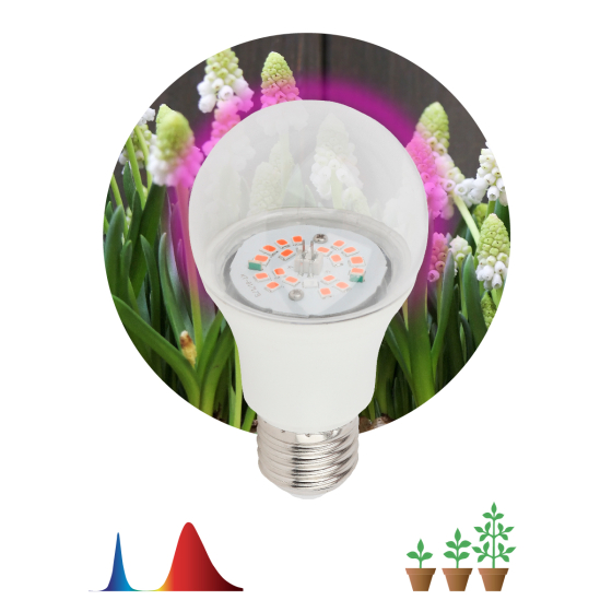 Купить оптом недорого Фитолампа для растений светодиодная ЭРА FITO-14W-RB-E27-K красно-синего спектра 14 Вт Е27