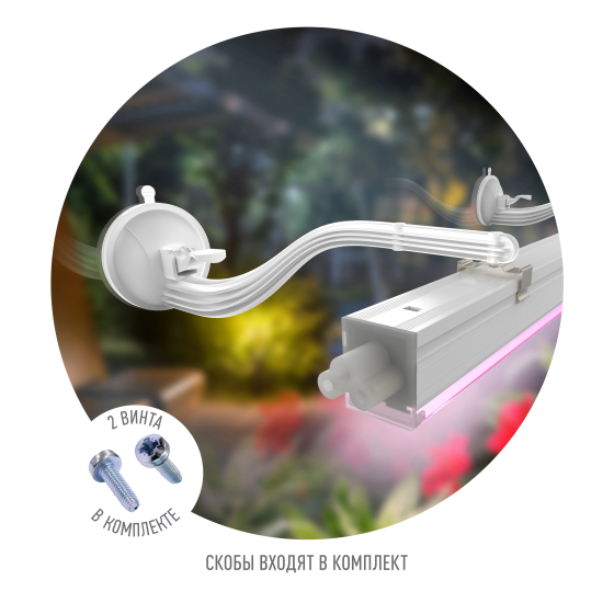 Купить оптом недорого Кронштейн для ламп и светильников ЭРА FITO-Hanger на присоске