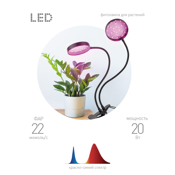 Купить оптом недорого Светильник для растений на прищепке ЭРА FITO-20W-АLED-R красно-синего спектра 20 Вт черный