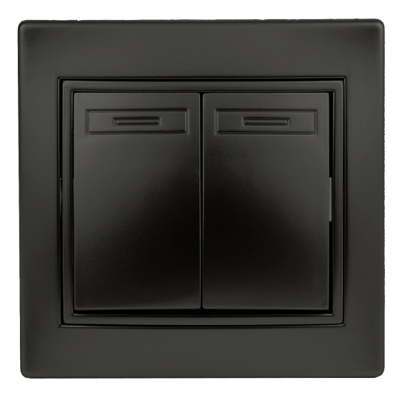 Купить оптом недорого Выключатель Intro Plano 1-104-05 двухклавишный