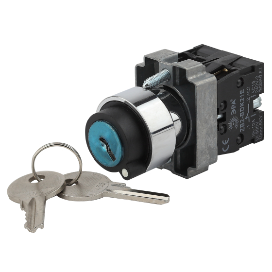 Купить оптом недорого Переключатель ЭРА BSW80-BG-2-K02E LAY5-BG45 на 2 положения с ключом без фиксации